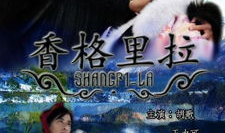 香格里拉电视剧,穿越时空的传奇爱情